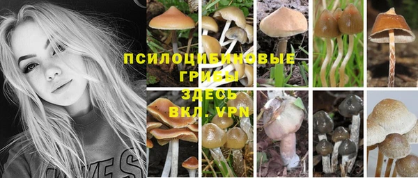 а пвп мука Аркадак