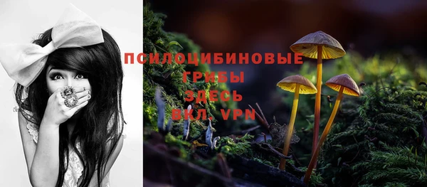 а пвп мука Аркадак