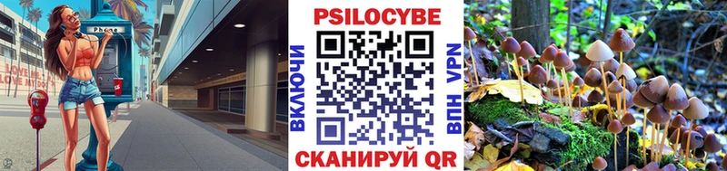 Псилоцибиновые грибы Cubensis  купить наркотики цена  Нижняя Тура 